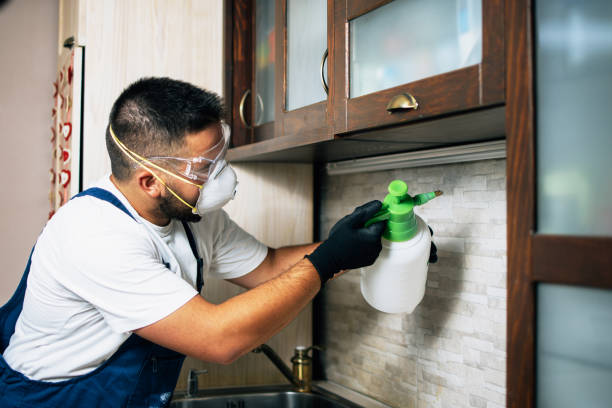 Best Insect Control  in Riverbend, WA