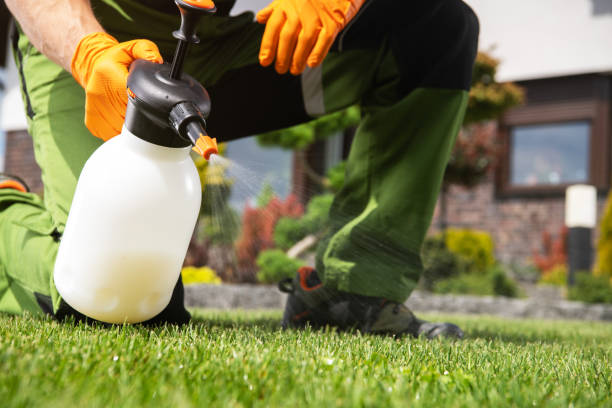 Best Rat Extermination Near Me  in Riverbend, WA