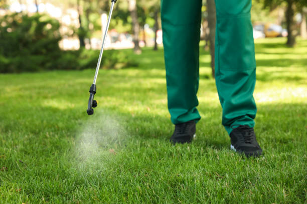 Best Pest Prevention Services  in Riverbend, WA