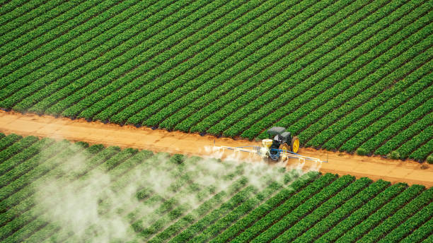 Best Pest Control Cost  in Riverbend, WA