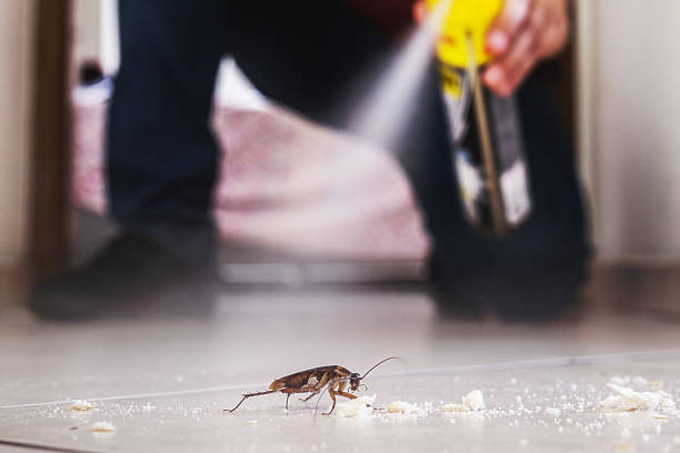 Best Pest Control Near Me in Riverbend, WA