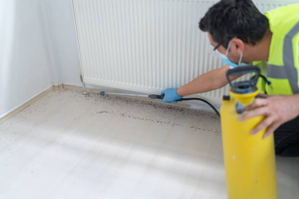Best Mosquito Control Services  in Riverbend, WA